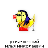 утка-летний-илья-николаевич